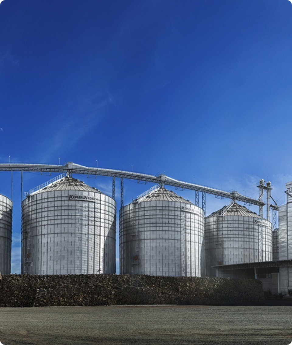 Form background